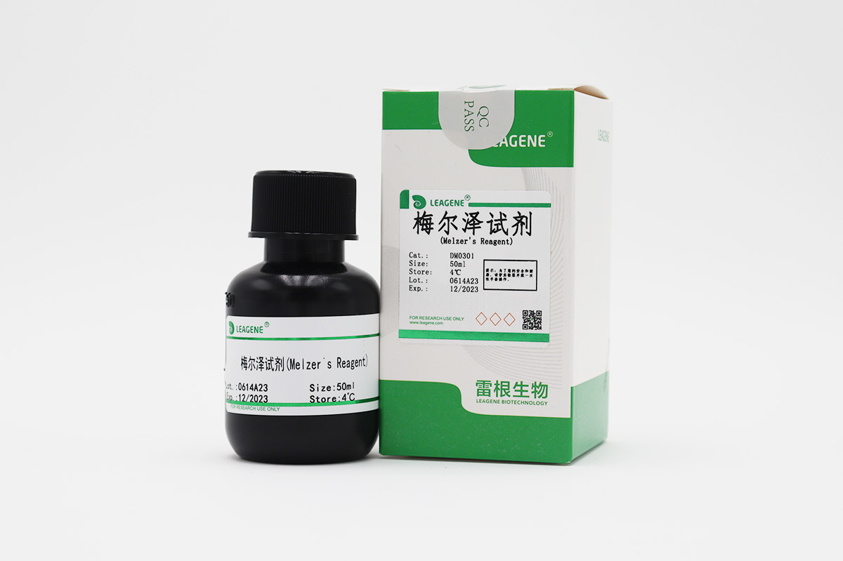 梅尔泽试剂(Melzer's Reagent)