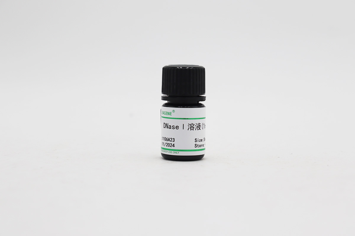 DNaseⅠ溶液(1mg/ml)  